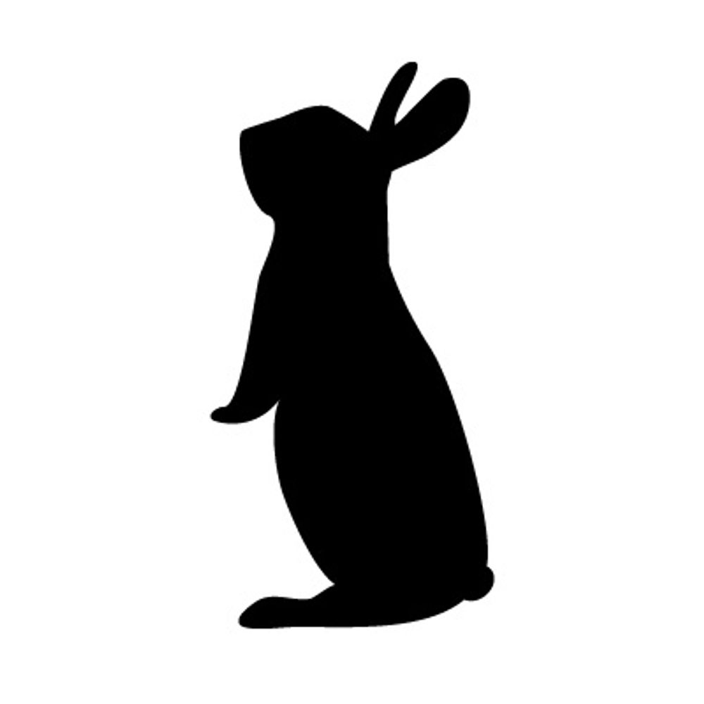 タカナシ