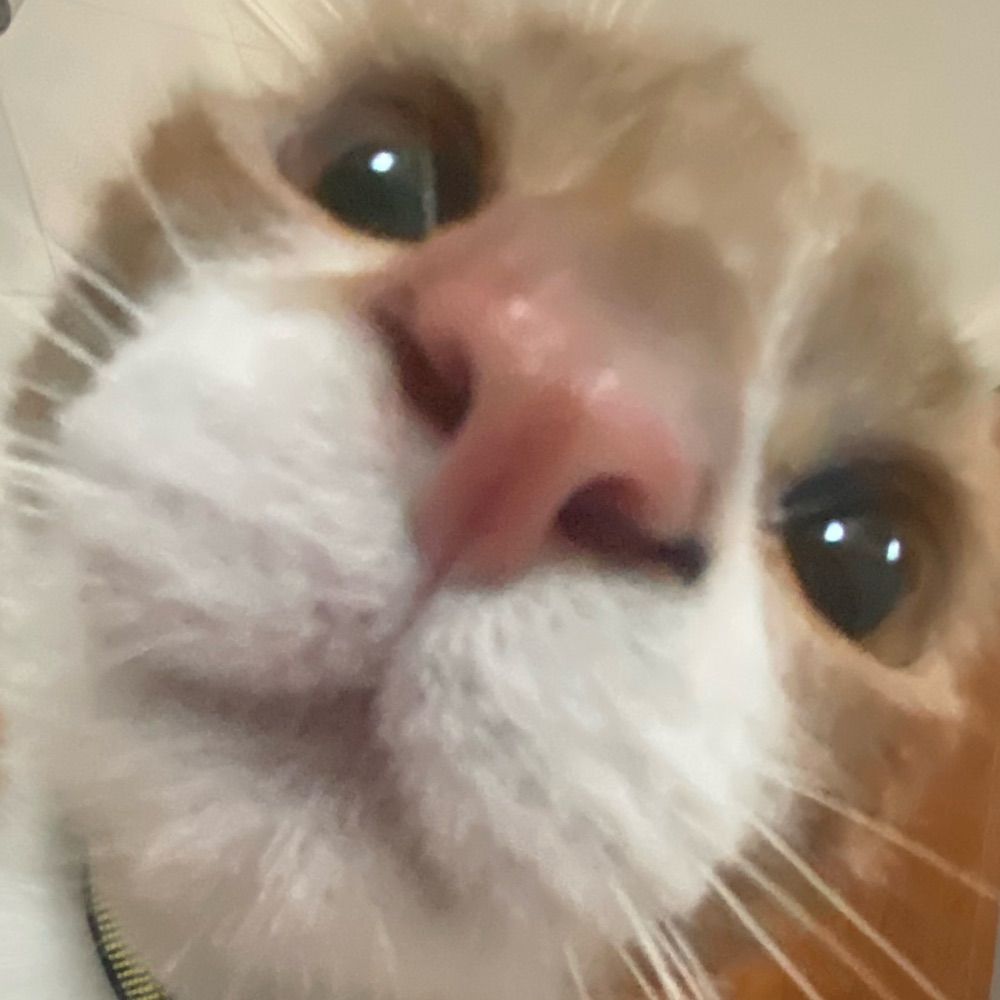 Hhvicc