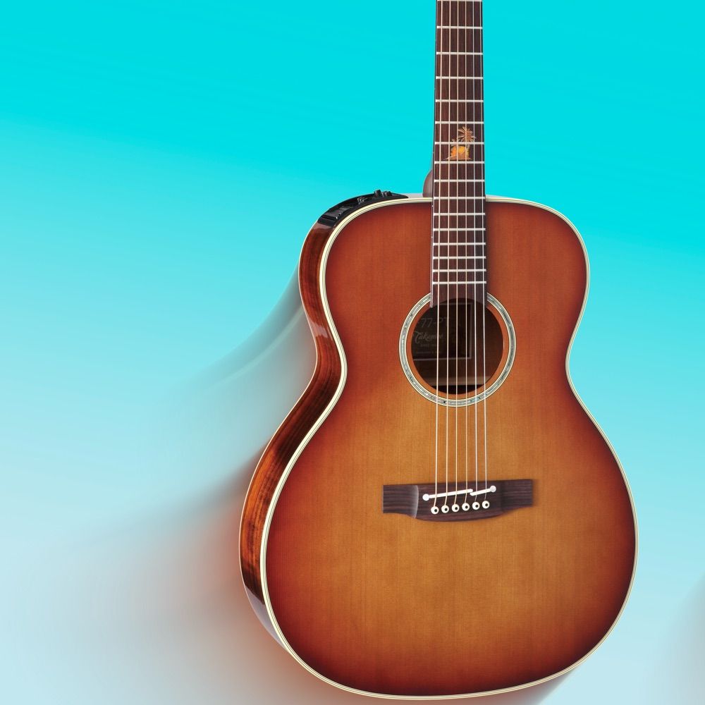 Takamine USA