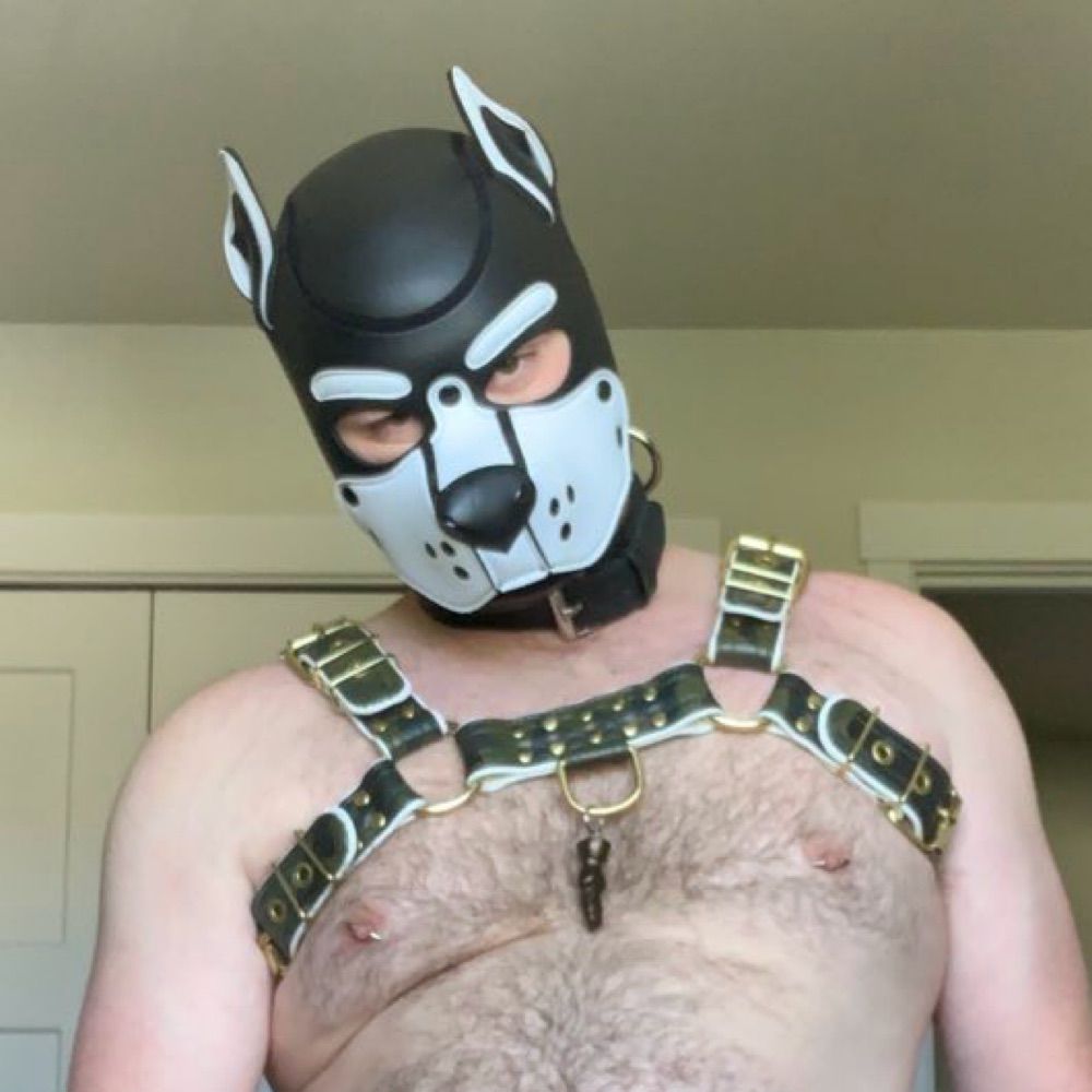 🔞Turbo Pup🔞