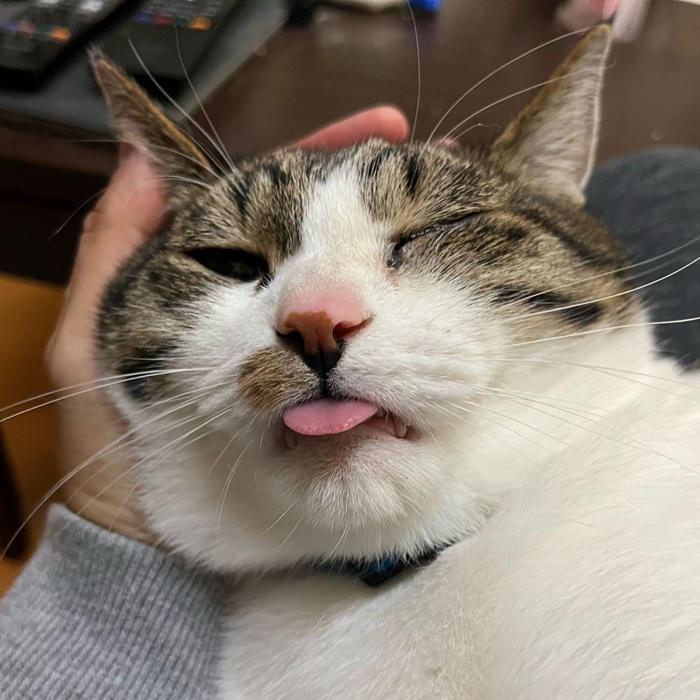 べにお