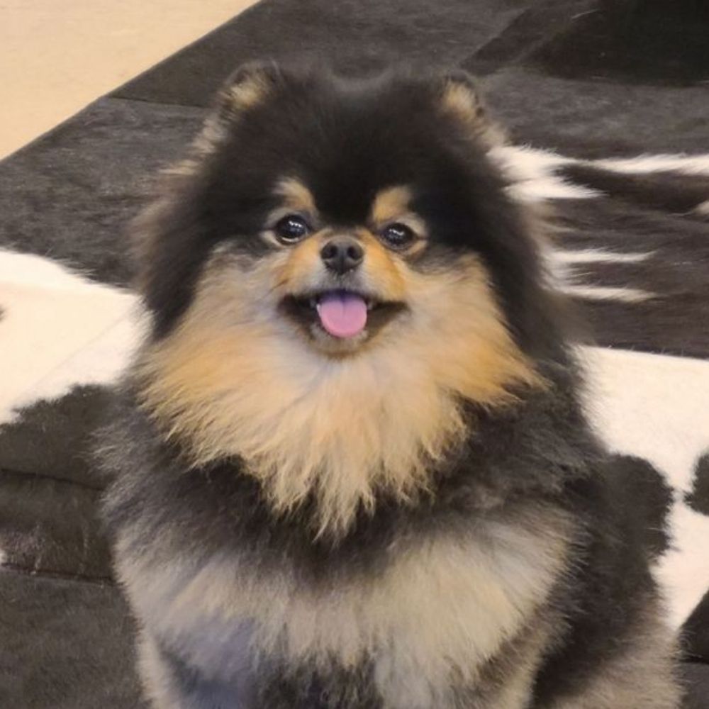 Dani.