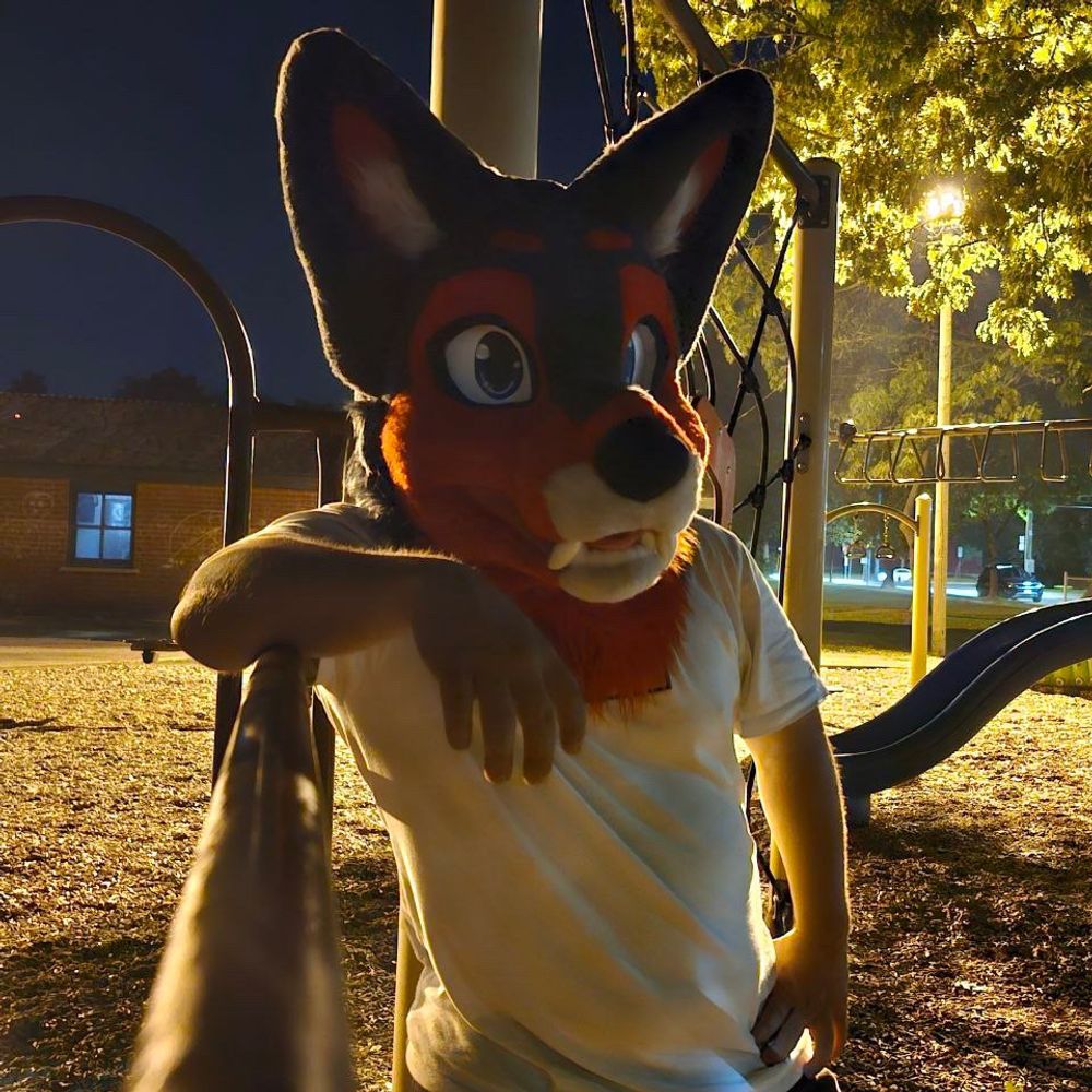 Hico The Husky