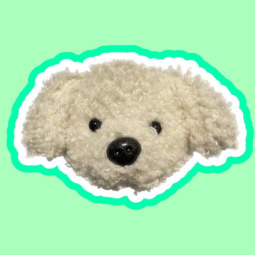 なのか🐶