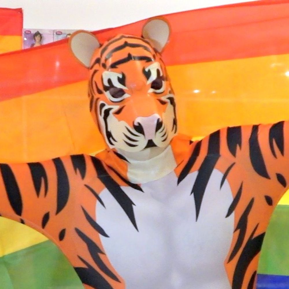 🏳️‍🌈Amurr The Tiger 🏳️‍🌈