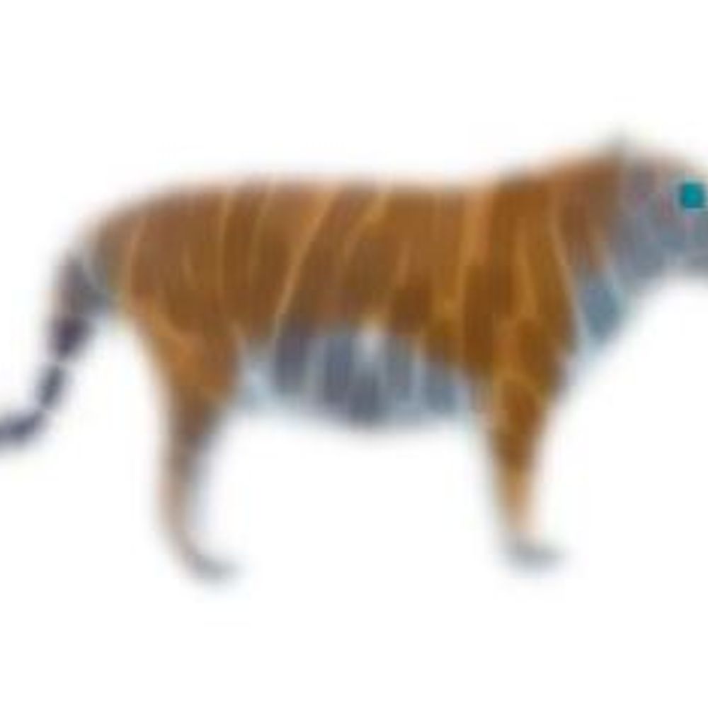 Wooltiger Herder