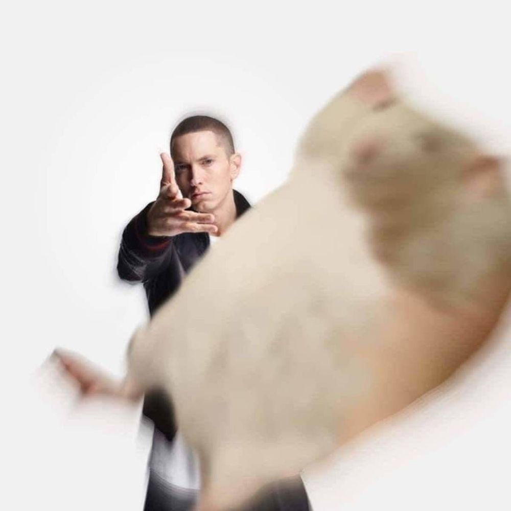 Edge