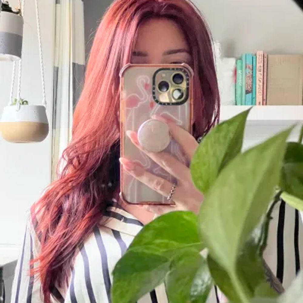 C 🌱 Casual Gaming Streamer