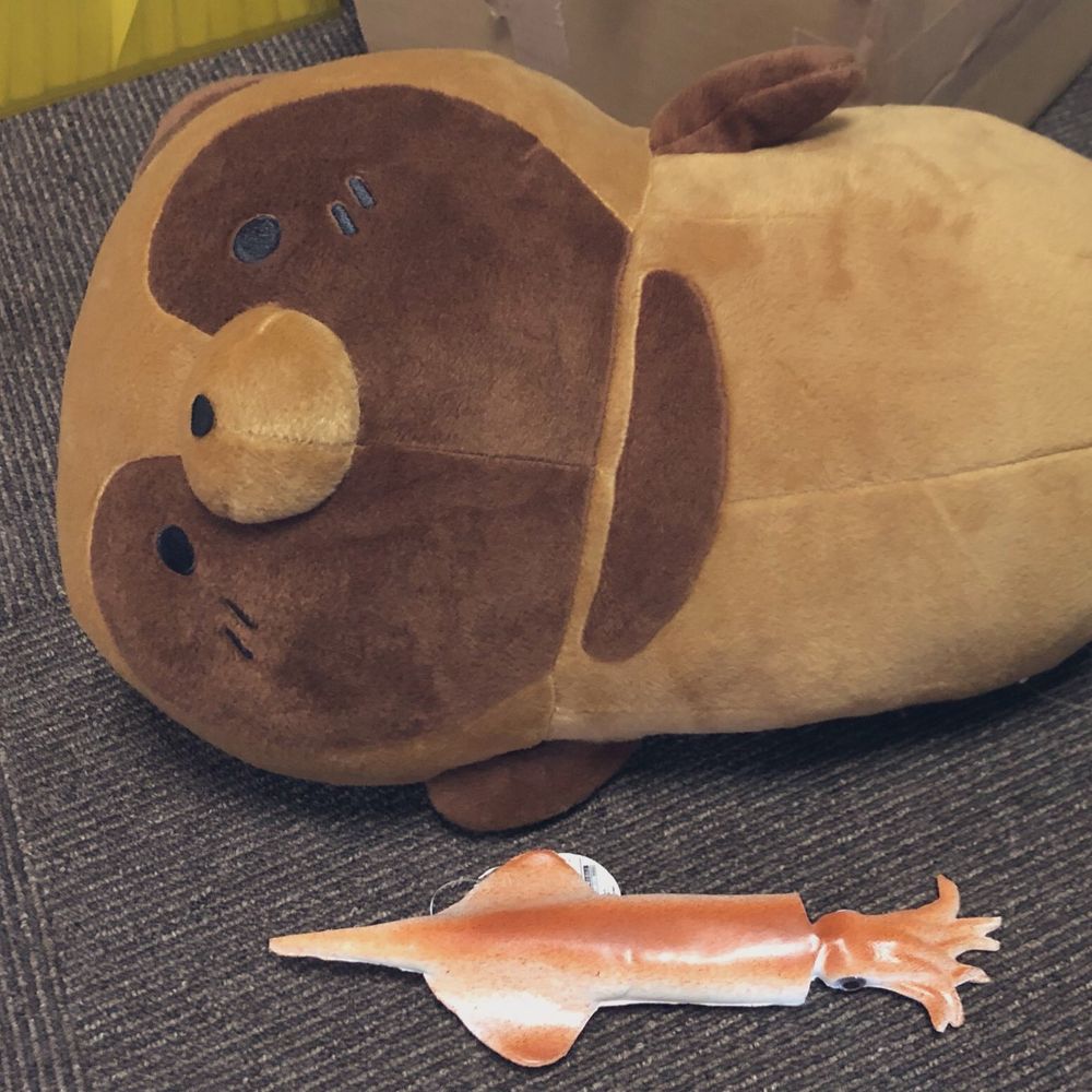 あまねみ(amanemi)