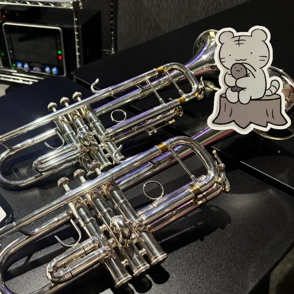 の。🎺