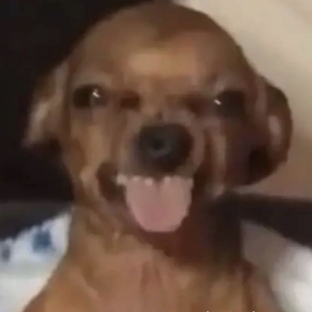 jo 