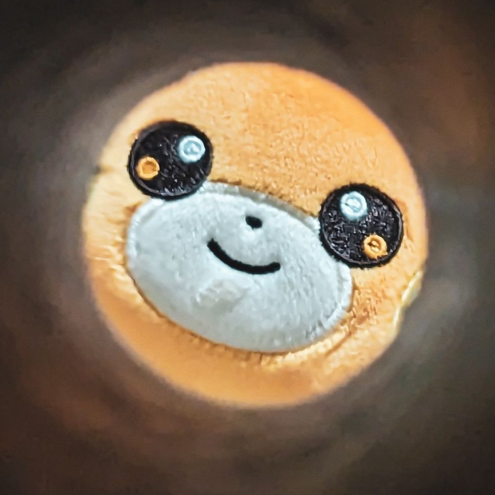 きぬいと🧵