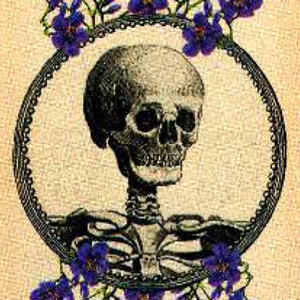 King of Pentacles