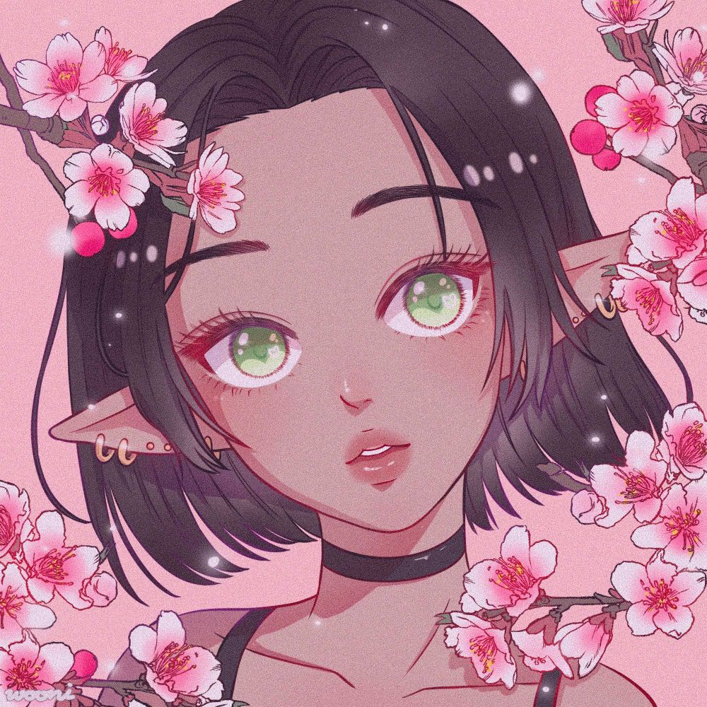 nova ♡
