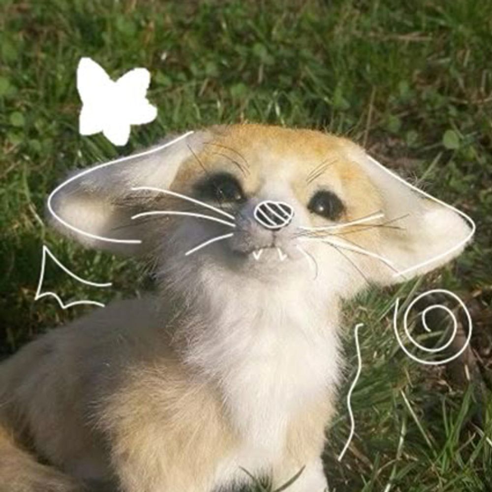 ✨🌟Gamigin🌟✨