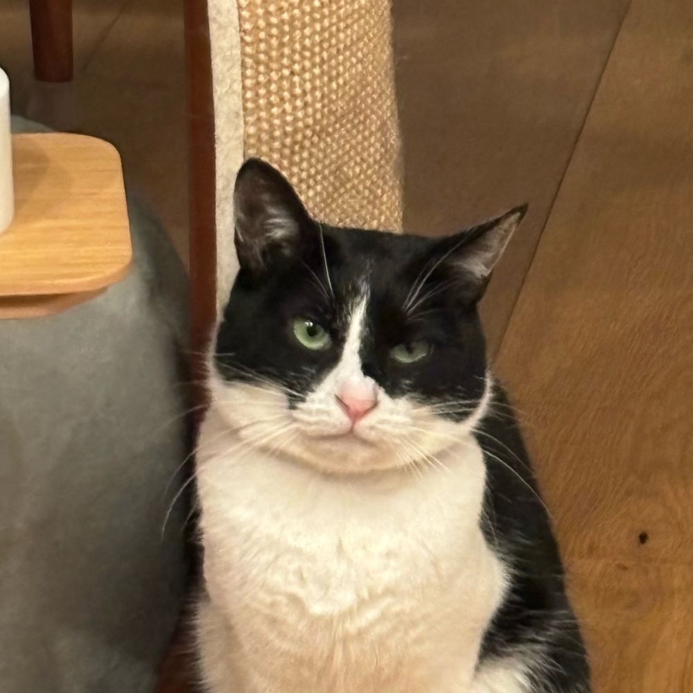 連絡板