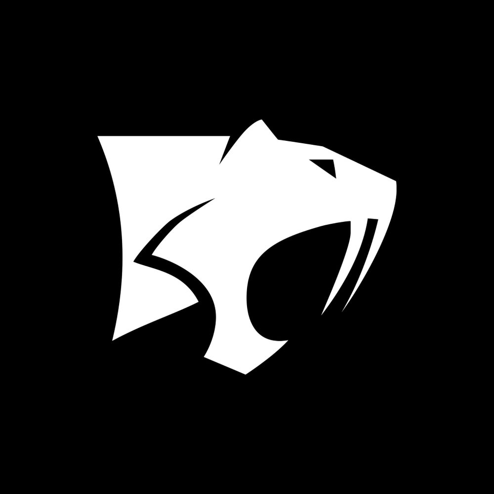 Saber Interactive