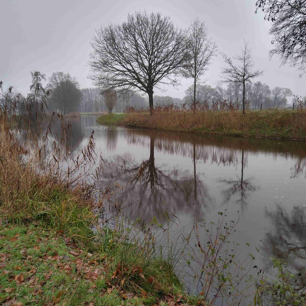 Mark van Loosdrecht 