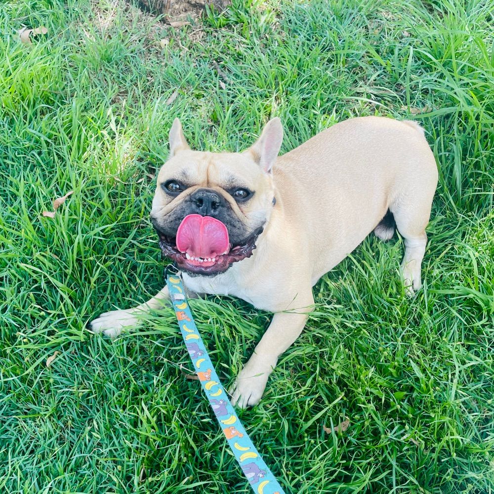 Winnie