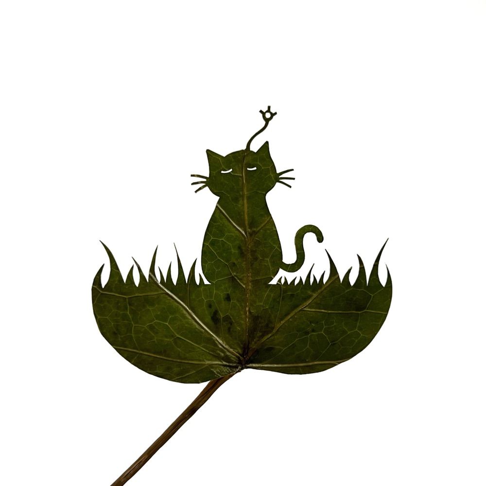サク