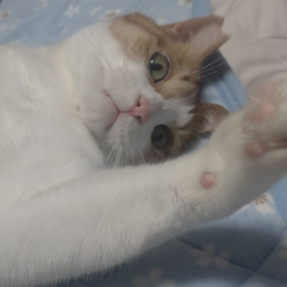 すいぎん