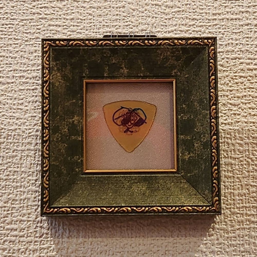 クッションのような何か