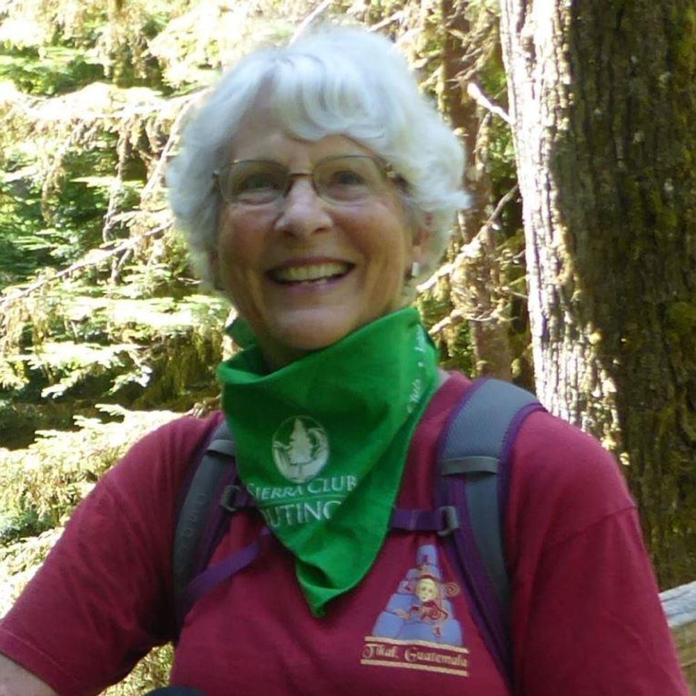 Lucinda Wingard