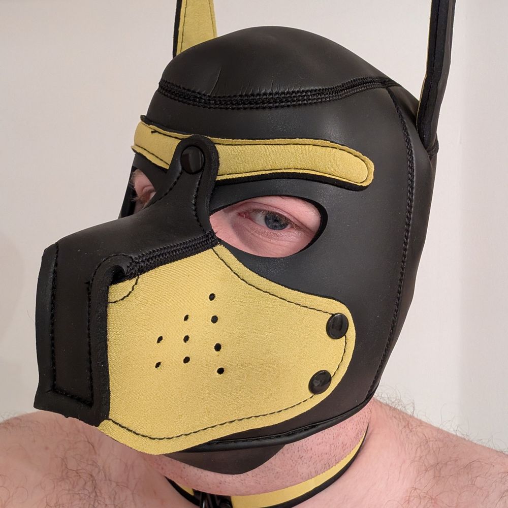 Pup Sisu