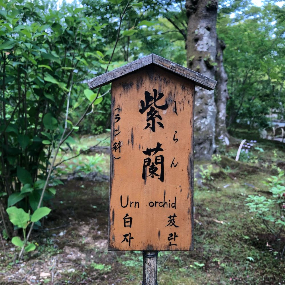 ころち