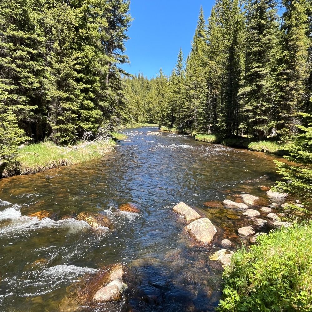 WyotroutGuy
