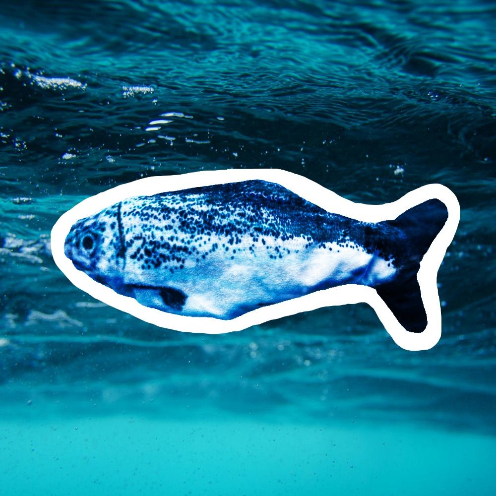 seafish