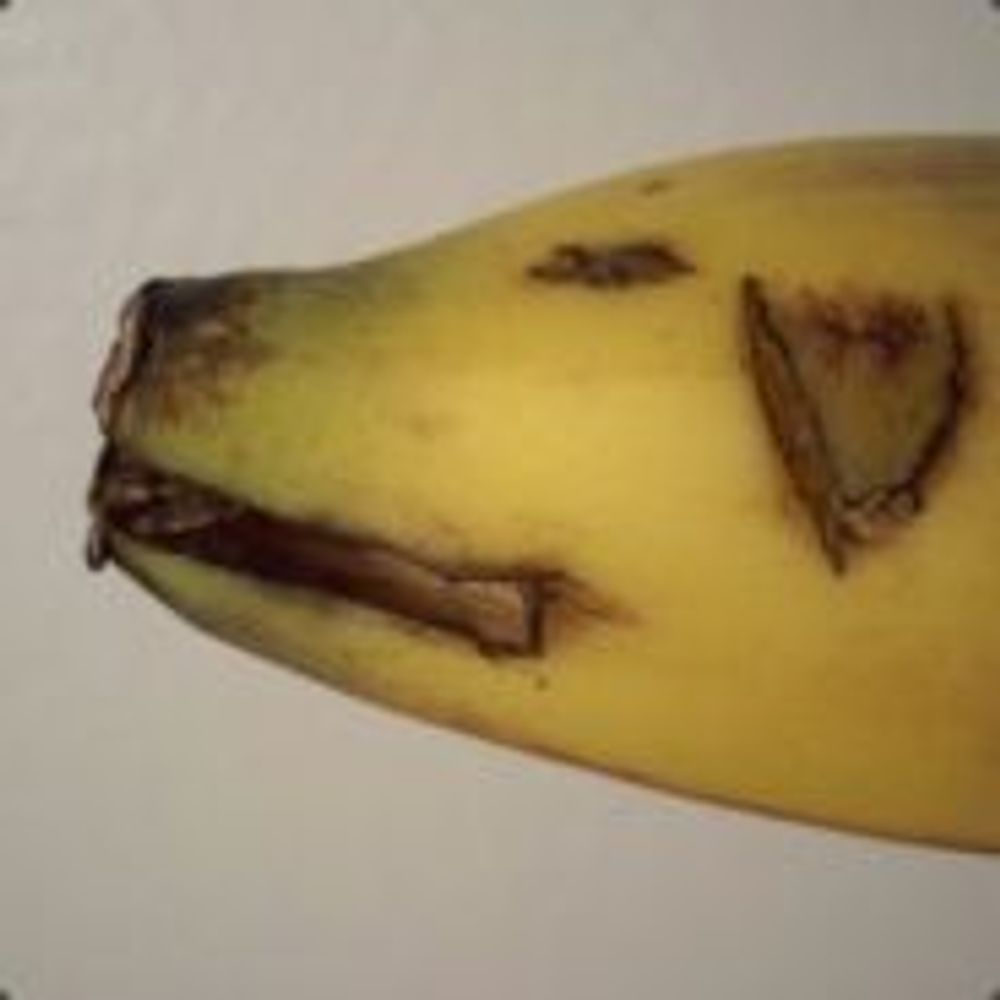MurkyBanana