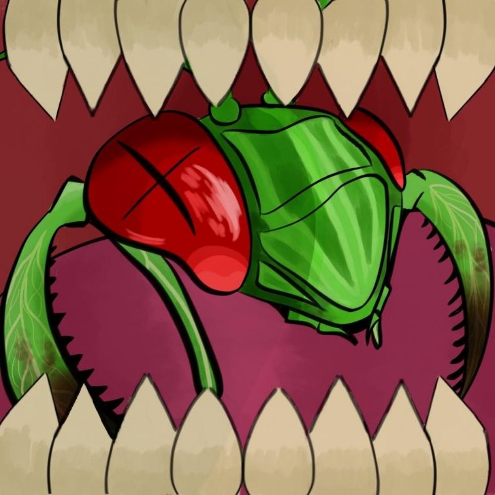 MantisBites's avatar