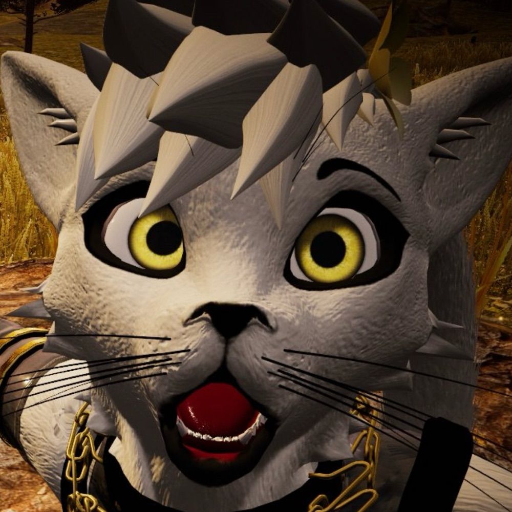 Dumbass Catboy