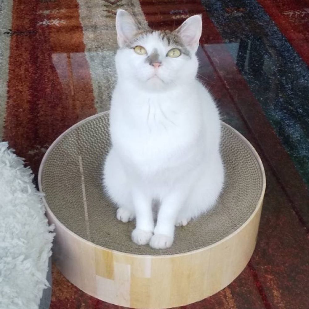 じょん