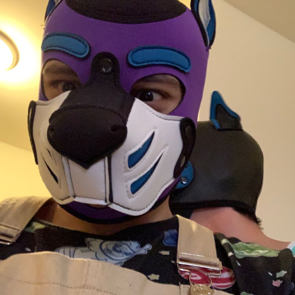 Littlestpup