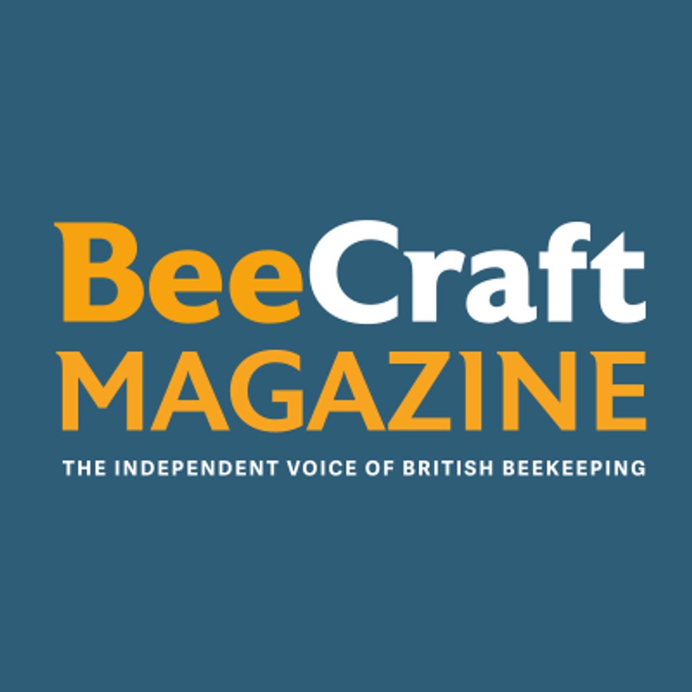 BeeCraft Magazine