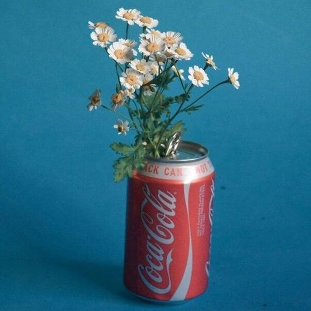 Blank 🌼