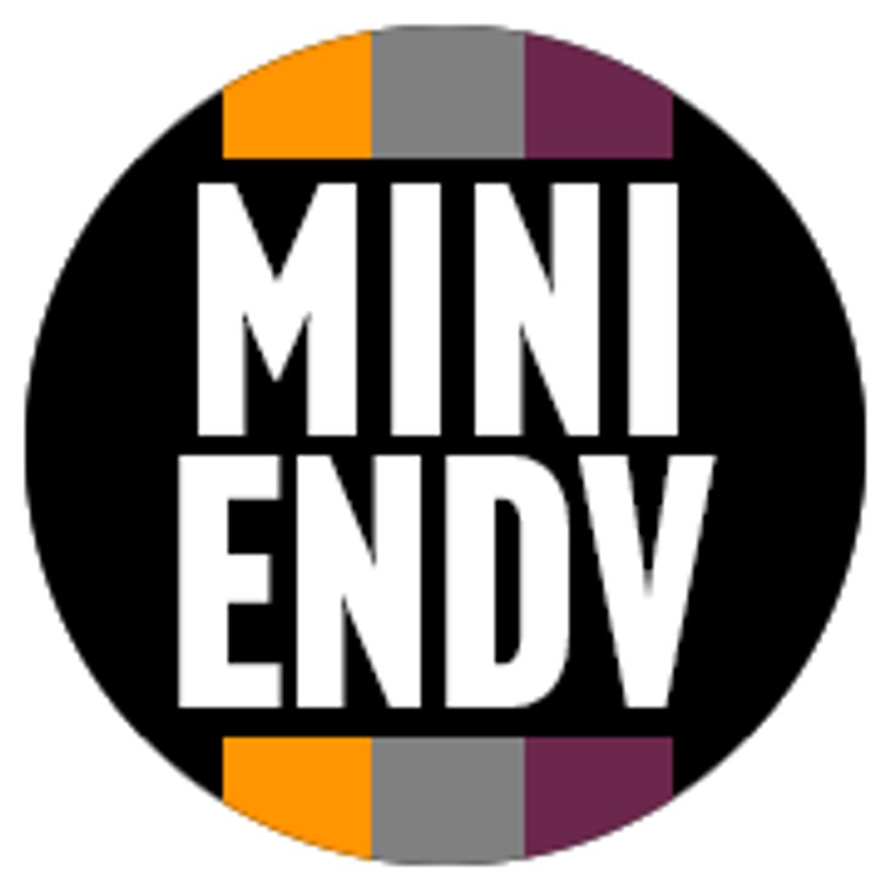 mini.endeavors