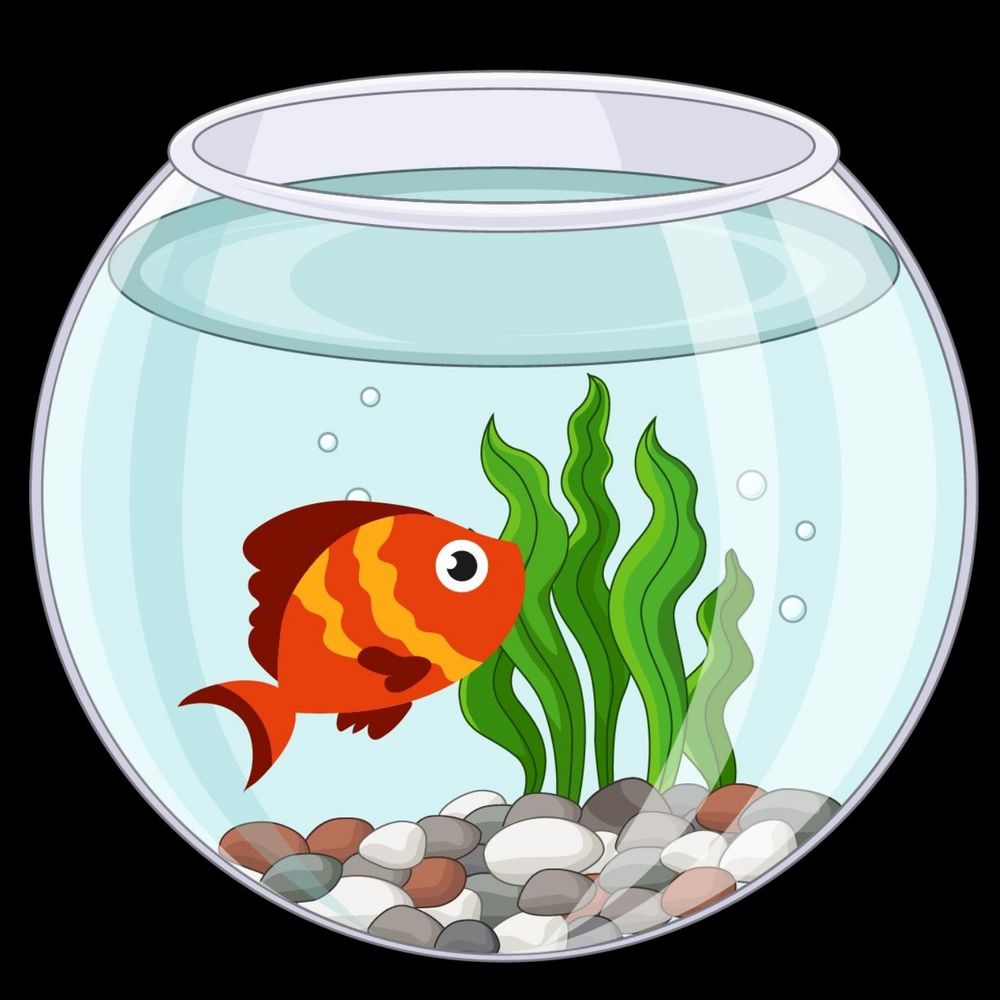 Goldfish Yagami 🏳️‍⚧️ 🇧🇪