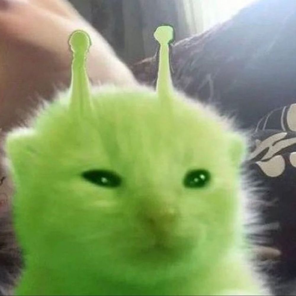 Ji Cachorro Melancia 🏳️‍🌈?