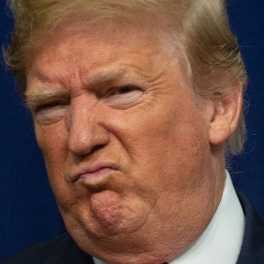 donalds-fat-neck.bsky.social profile picture
