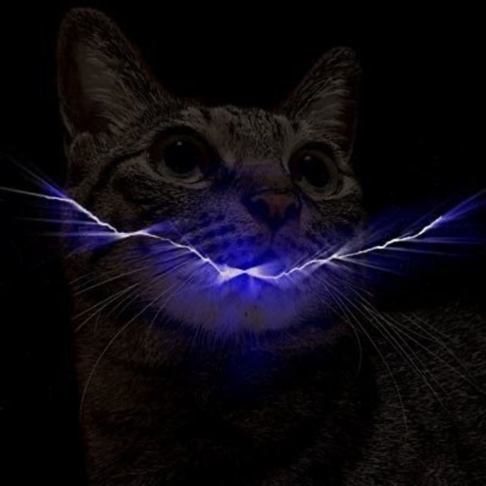 めぷちん'