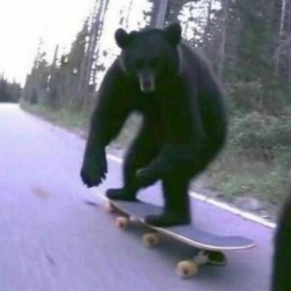 ★ Bear — It × Its 