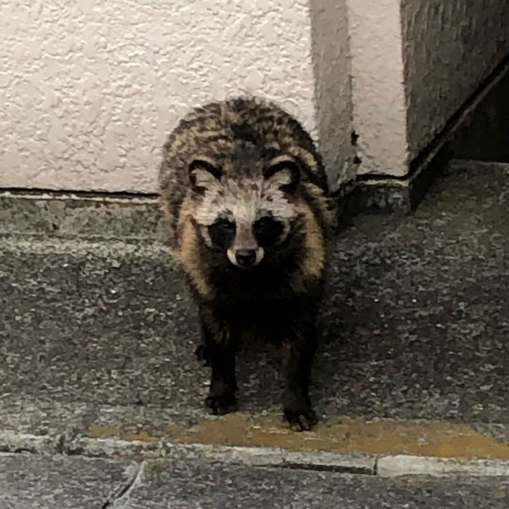和三盆
