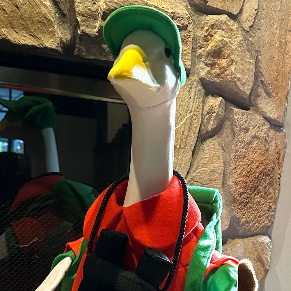 BirdVenturer