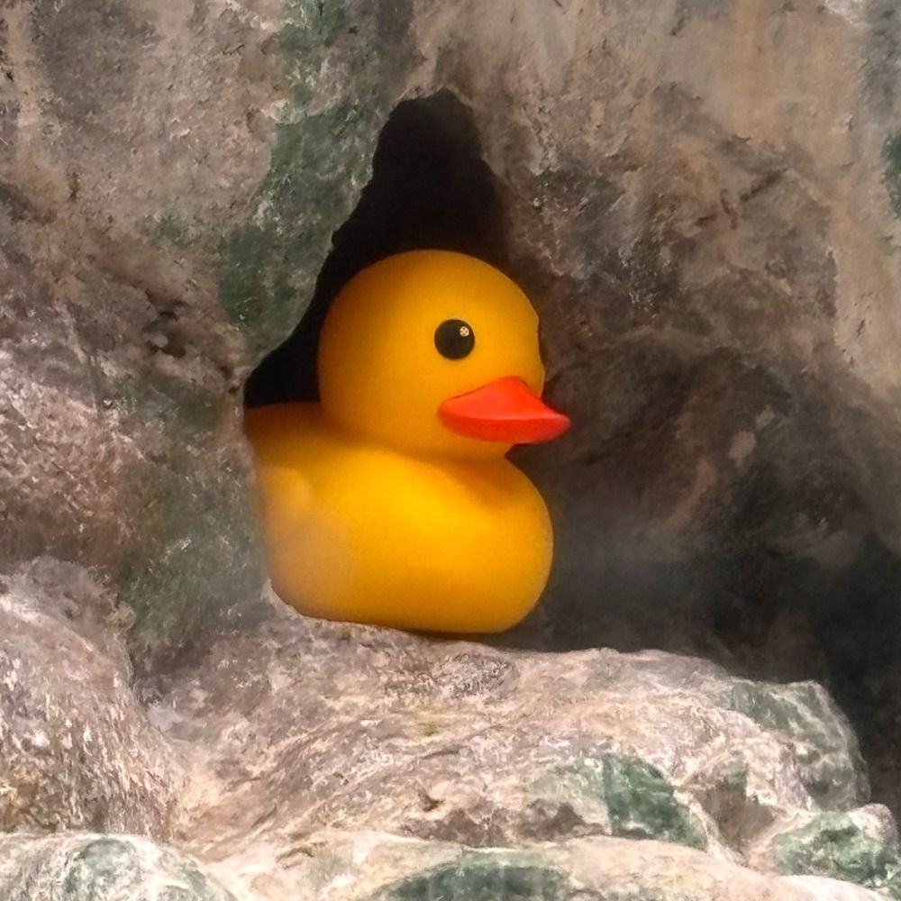 Quackthat🏳️‍⚧️🥳