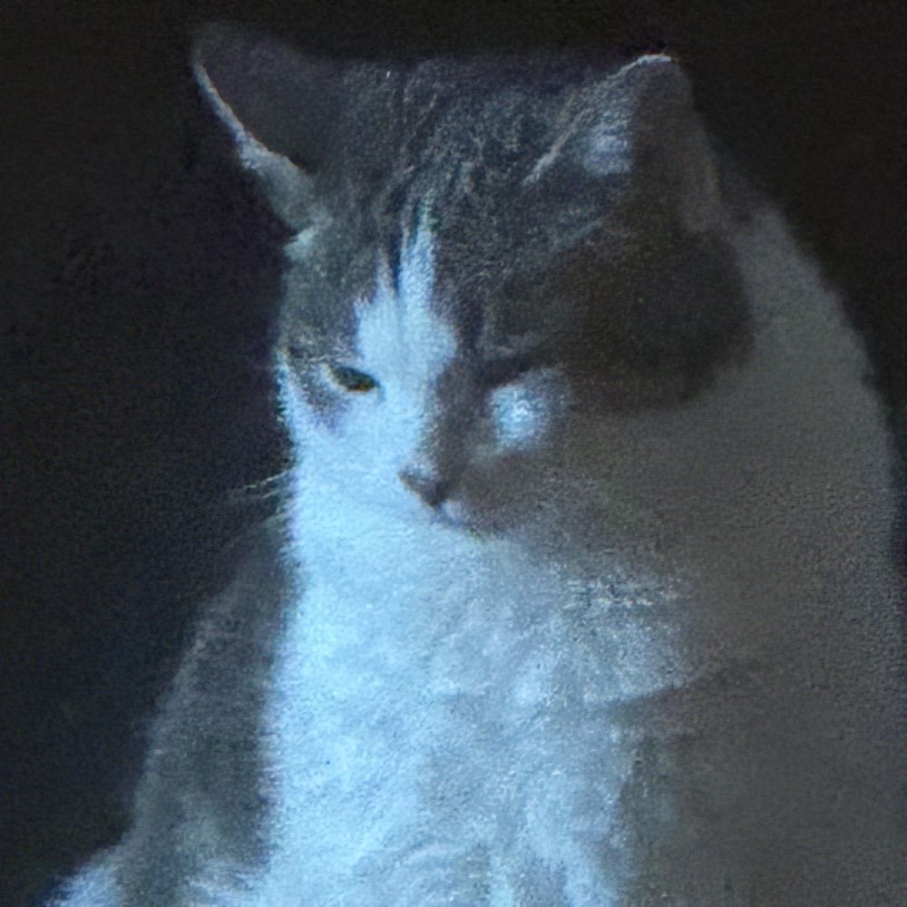 Maya
