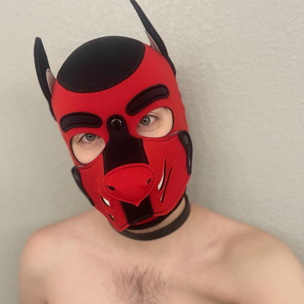 RedPupJay