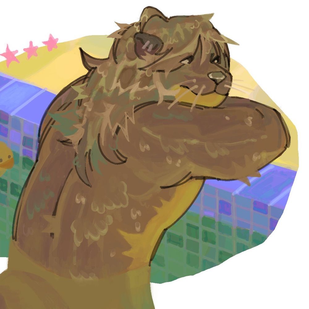 Mikey || Otter Enthusiast🫧🦦